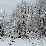 Morska Przystan Kopalino