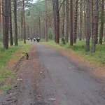 Morska Przystan Hébergement de vacances *