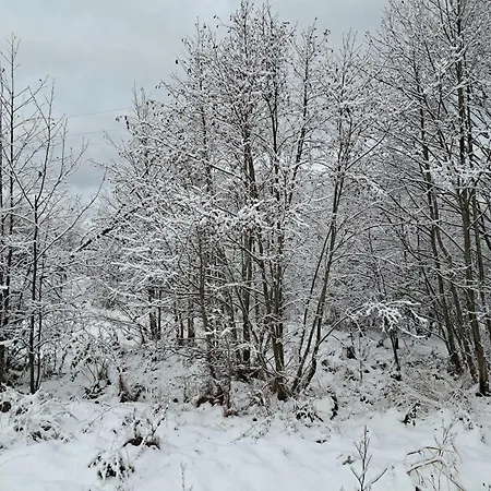 Morska Przystan Kopalino