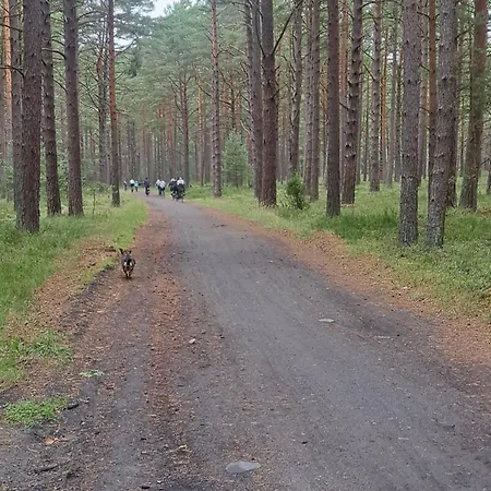 Morska Przystan Tatil Evi *