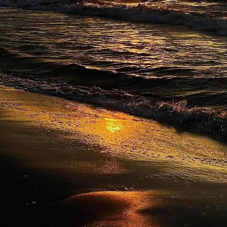 Morska Przystan * Kopalino