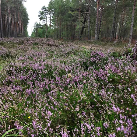Tatil Evi Morska Przystan