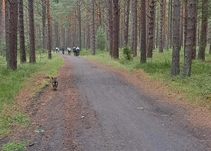 Morska Przystan 度假居 *